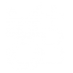 MOB+Creative